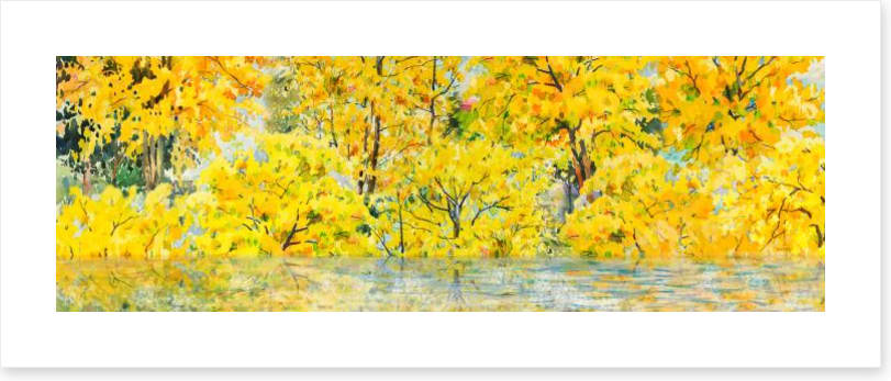 River of fall