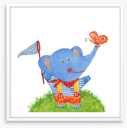 Elephants