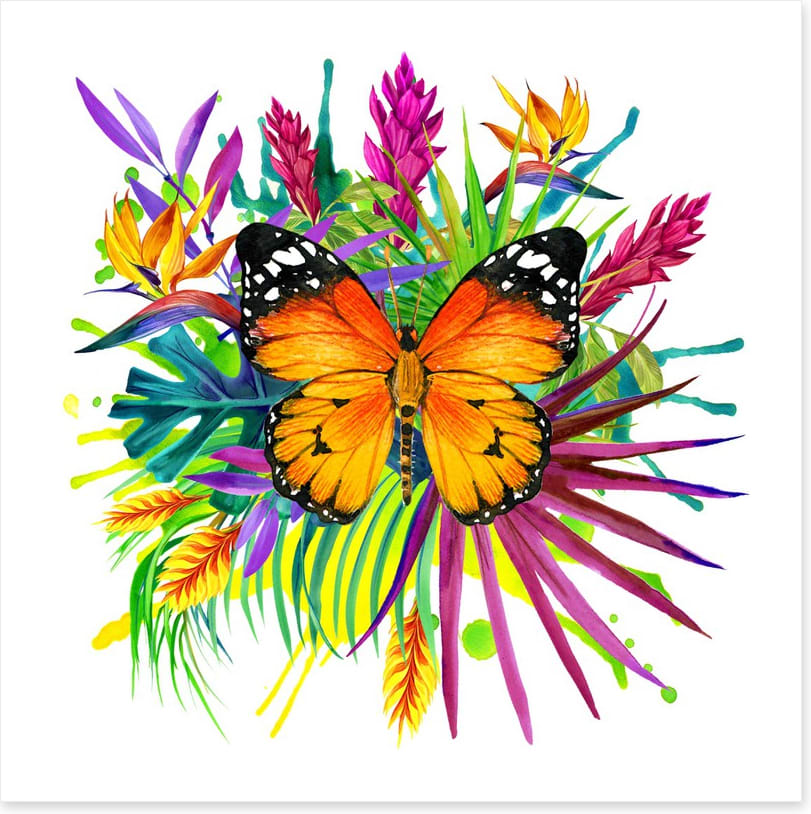 Midsummer monarch