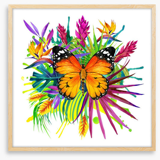 Midsummer monarch
