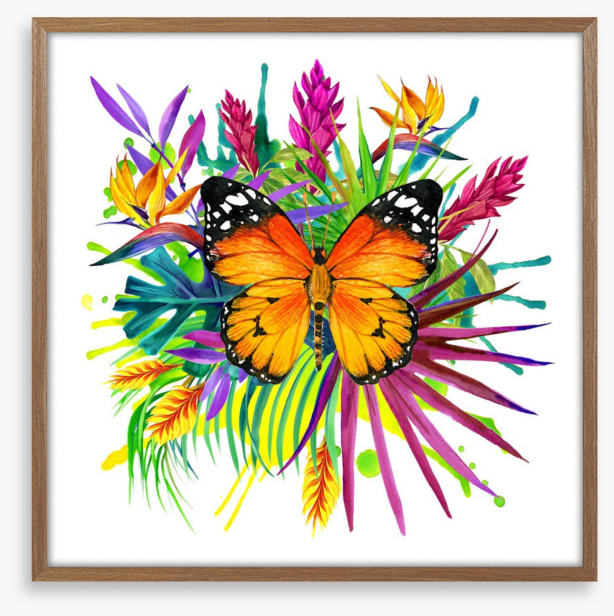 Midsummer monarch