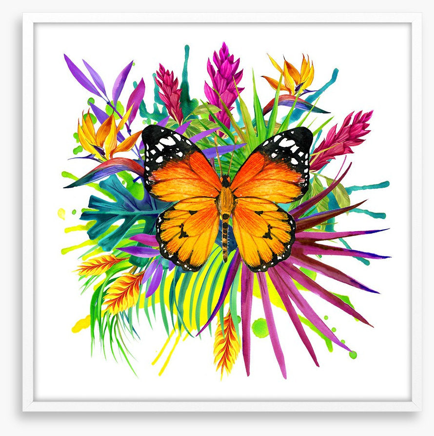 Midsummer monarch