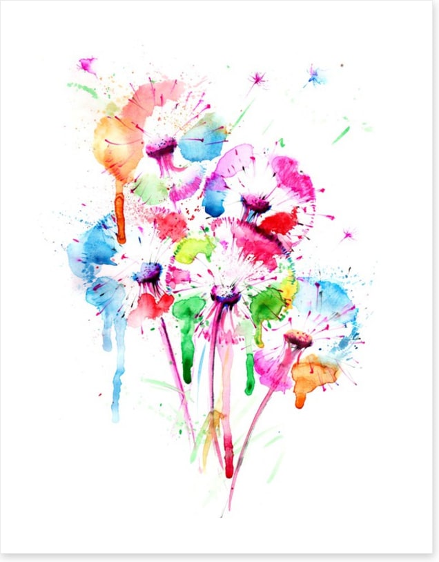 Dandelion splash