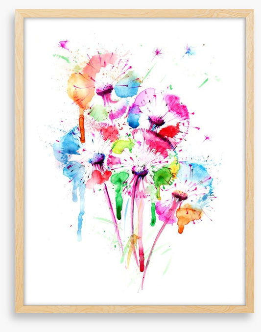 Dandelion splash