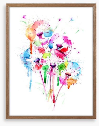 Dandelion splash
