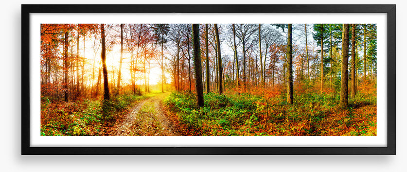 The autumn track