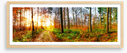 The autumn track