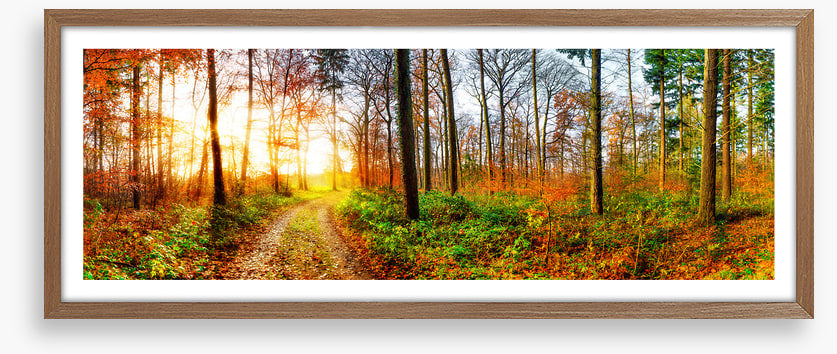 The autumn track