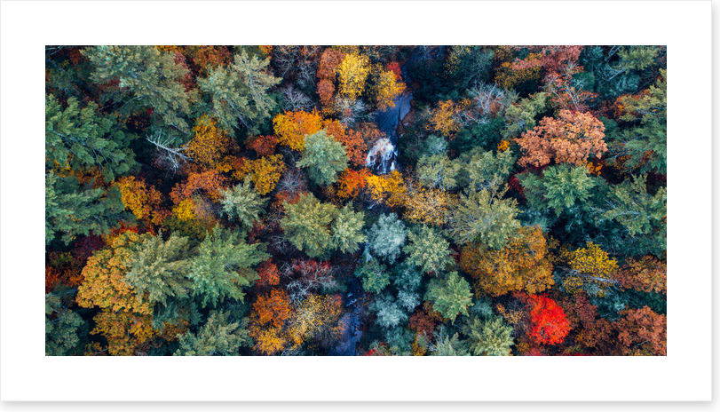 Above autumn