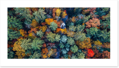 Above autumn