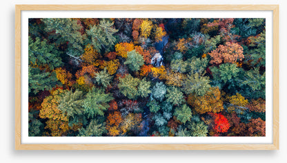 Above autumn