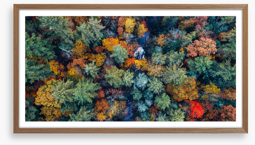 Above autumn