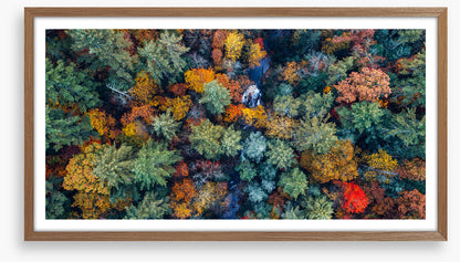 Above autumn