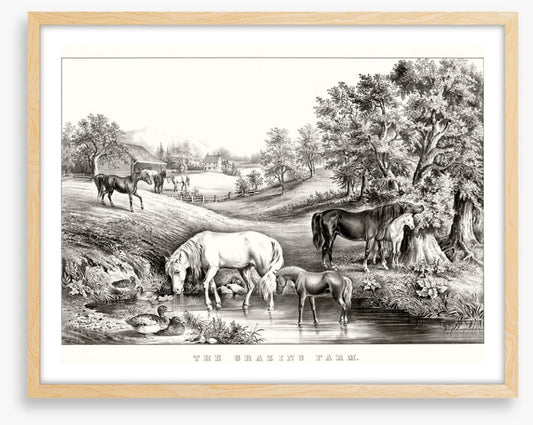The grazing farm