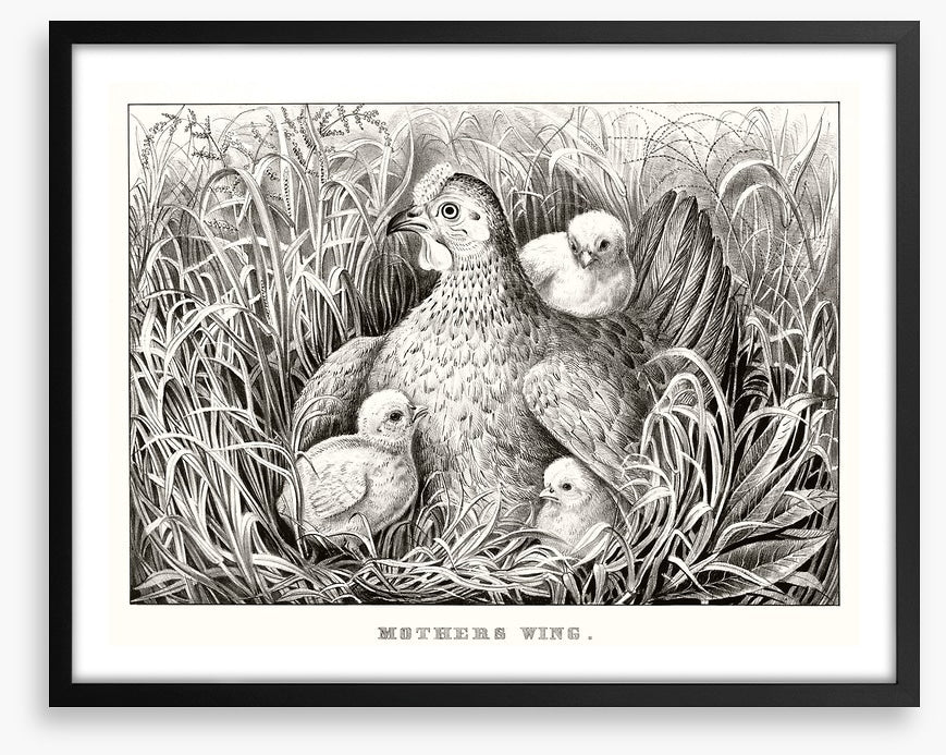 Mothers wing