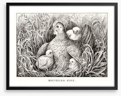 Mothers wing
