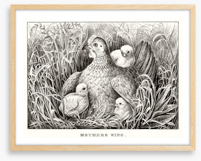 Mothers wing