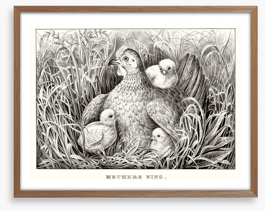 Mothers wing