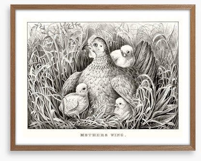 Mothers wing