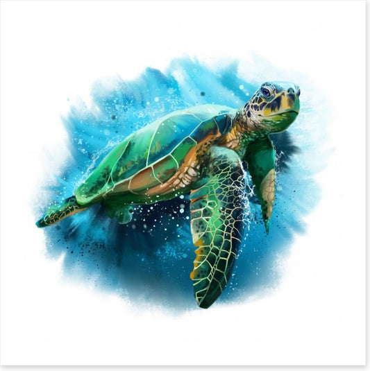 Sea turtle splash