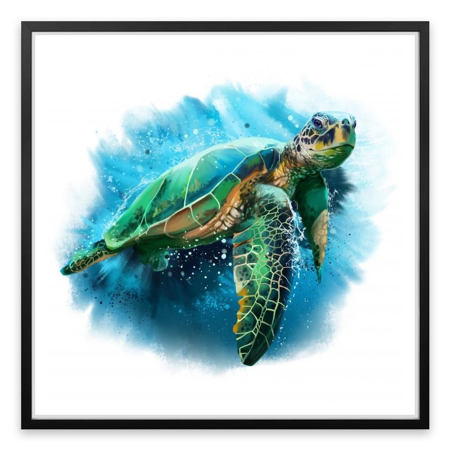 Sea turtle splash