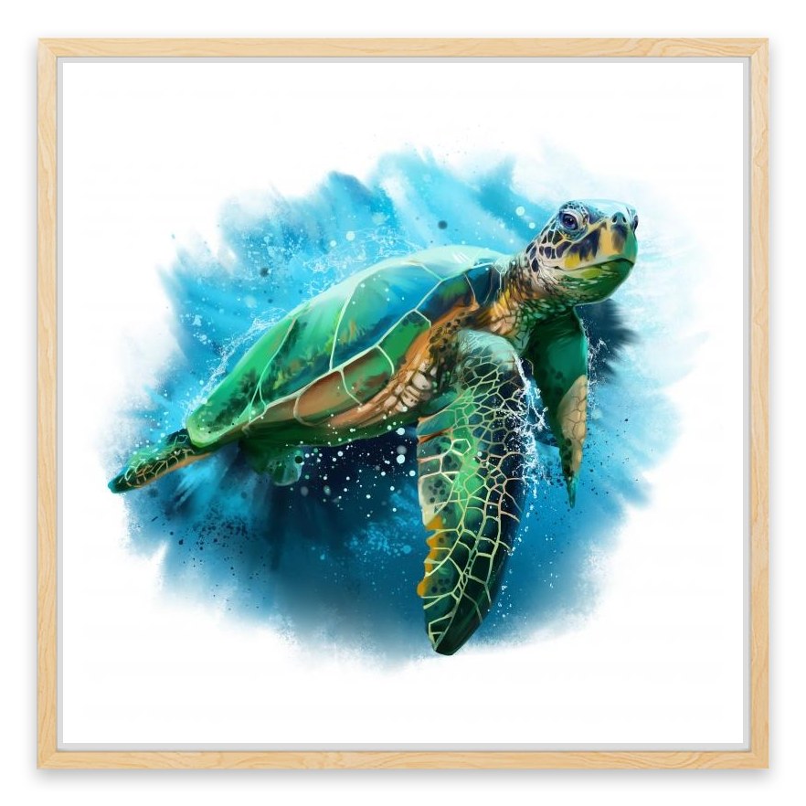 Sea turtle splash