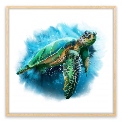 Sea turtle splash