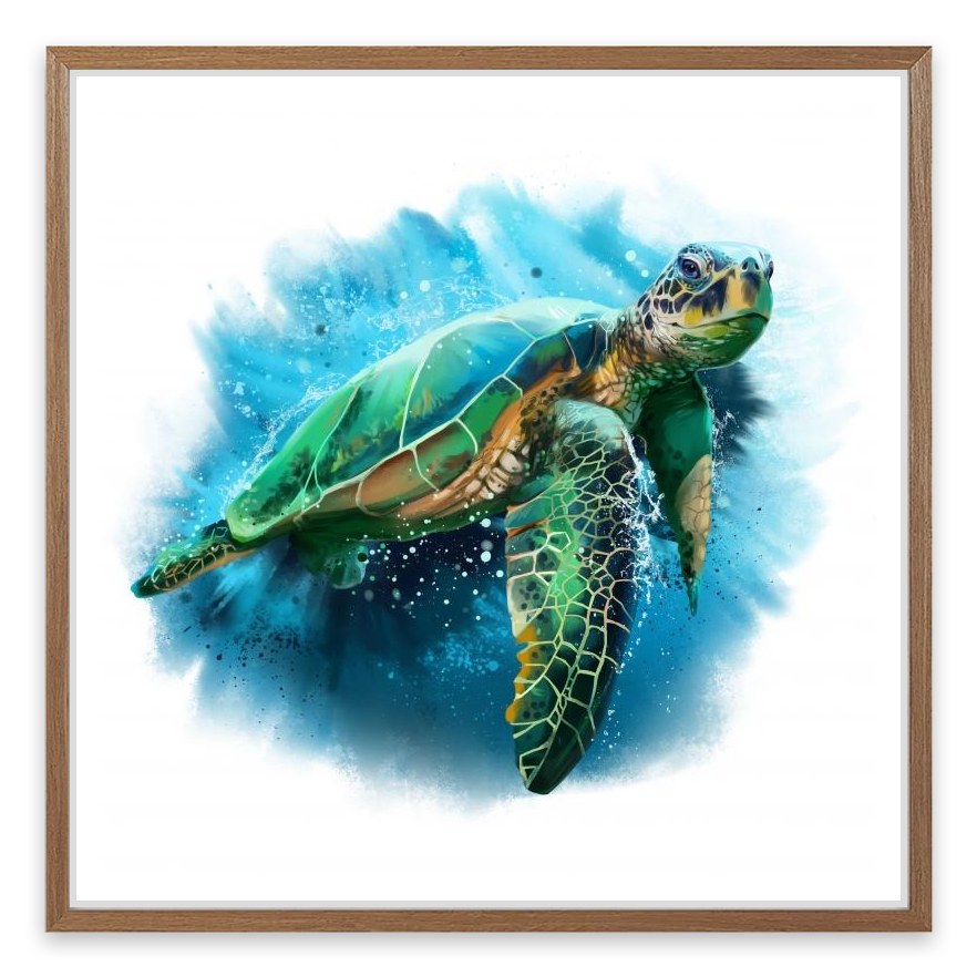 Sea turtle splash