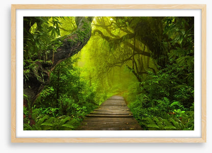 Jungle walk
