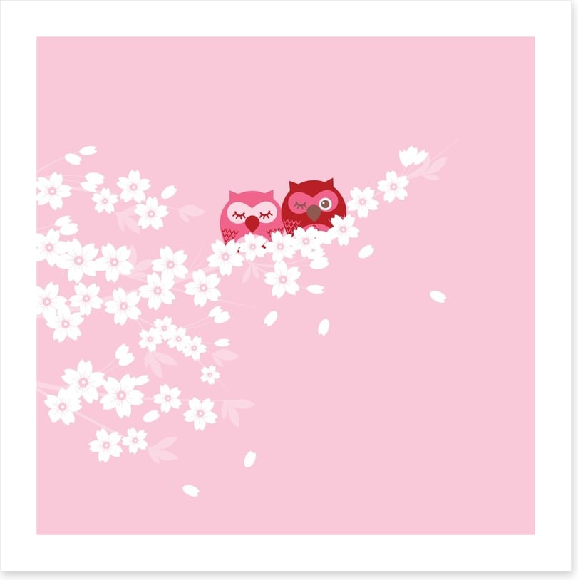 Blossom owls