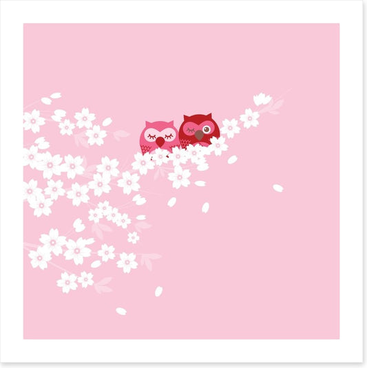 Blossom owls