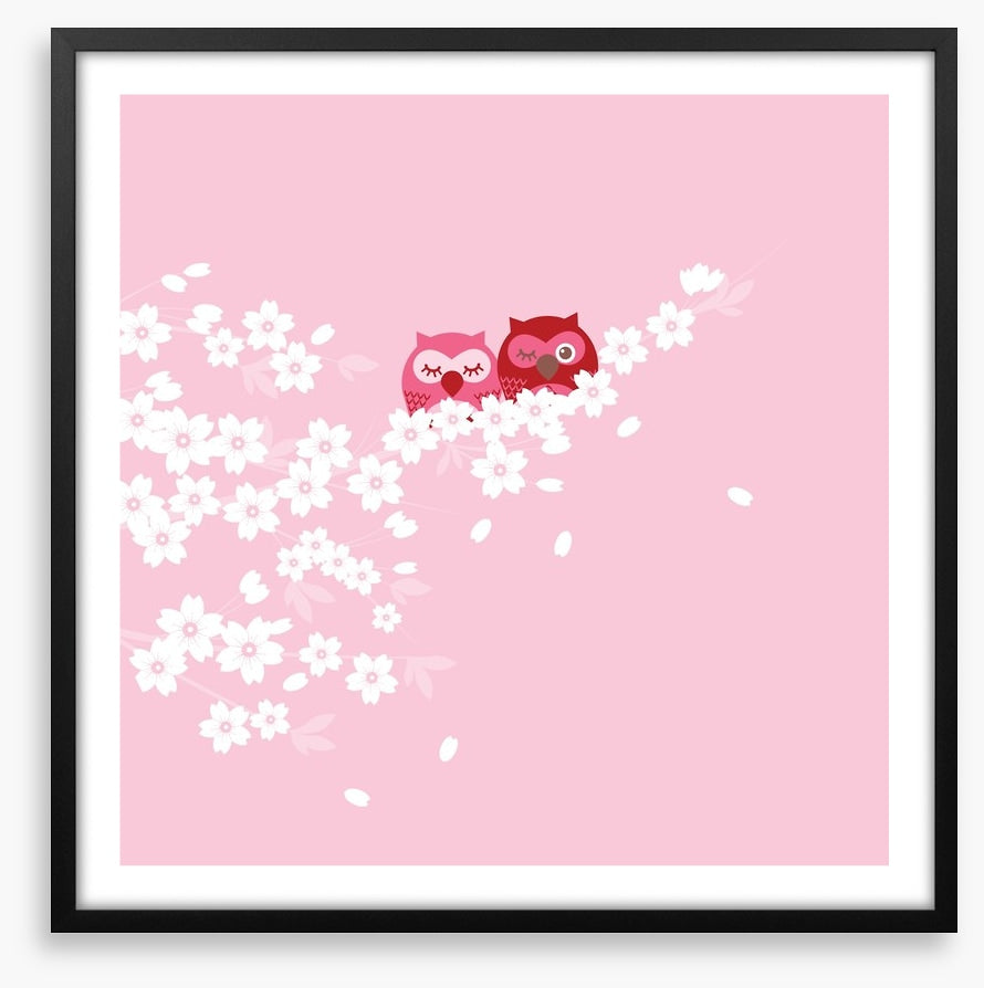 Blossom owls