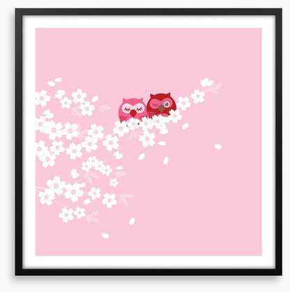 Blossom owls