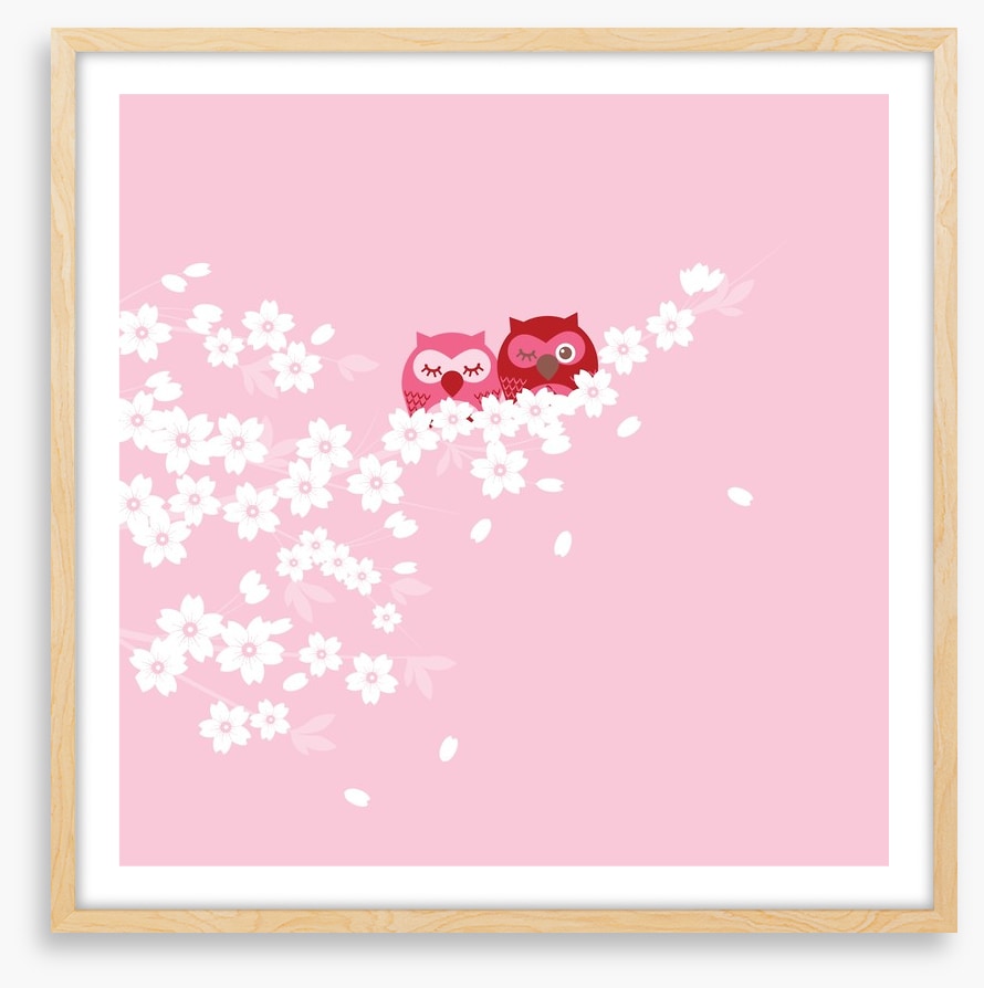 Blossom owls