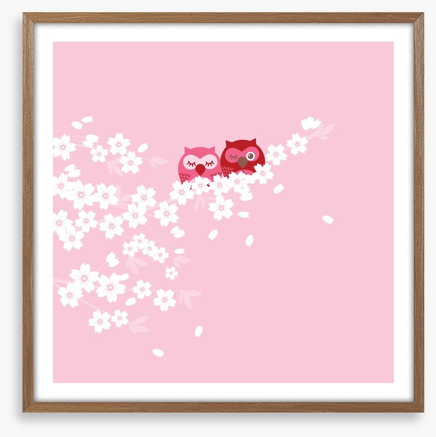 Blossom owls
