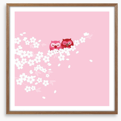 Blossom owls