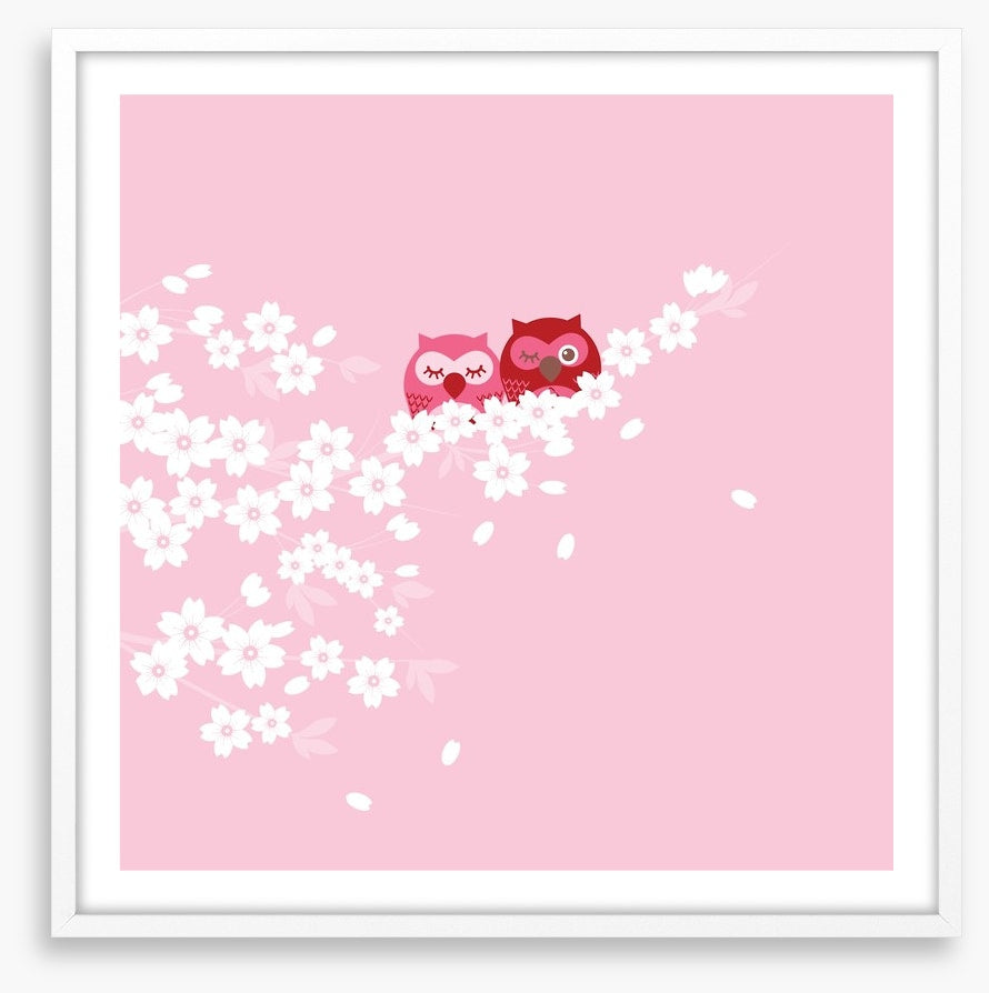 Blossom owls