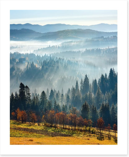 Golden foothills