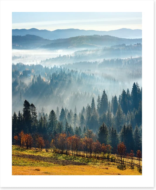 Golden foothills