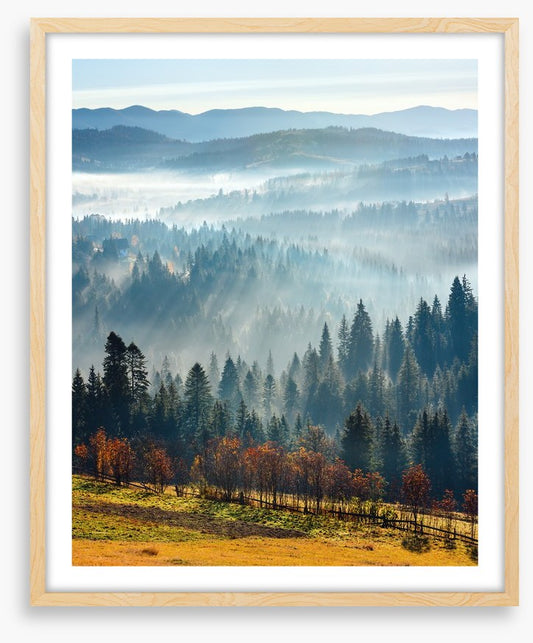 Golden foothills