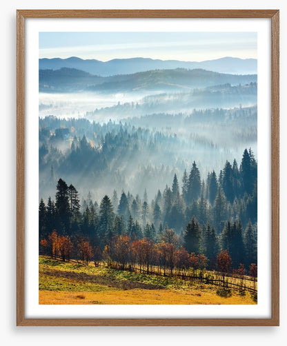 Golden foothills