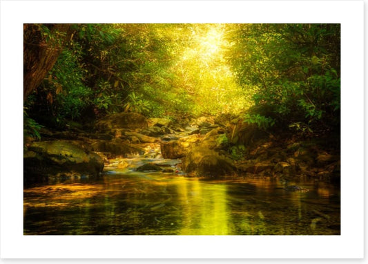 Sunburst river rays