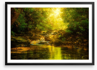 Sunburst river rays