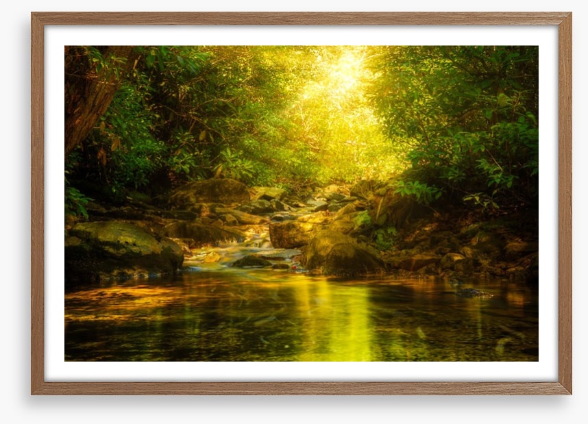 Sunburst river rays