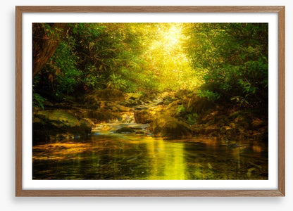 Sunburst river rays