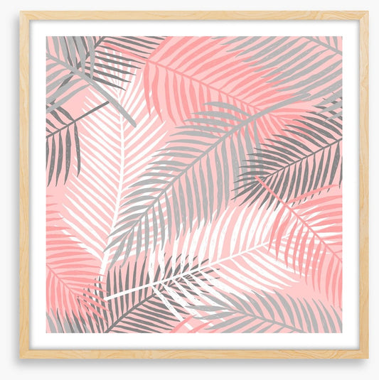 Pink palm breeze