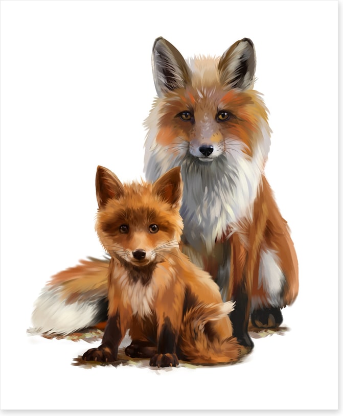 Foxy family