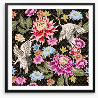 Chrysanthemum cranes