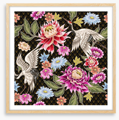 Chrysanthemum cranes
