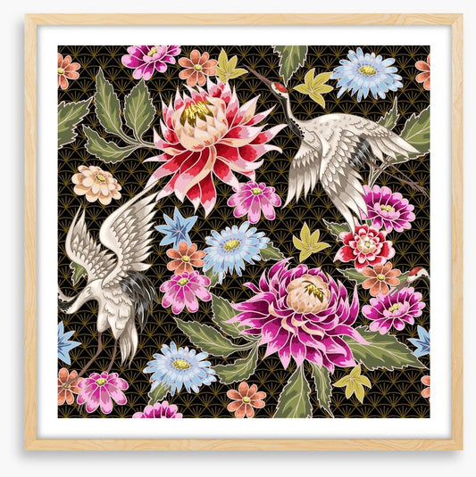 Chrysanthemum cranes